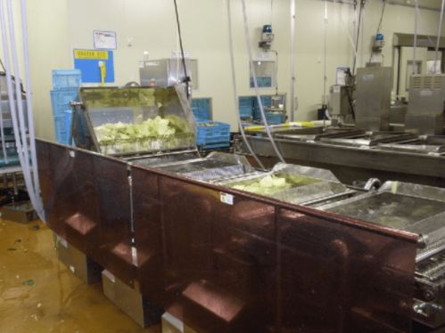 電解水應用實錄 為日本水產品加工廠注入高效清潔新動力