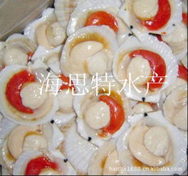 榮成市海思特水產(chǎn)品冷凍廠 構筑海洋美味的保鮮基石