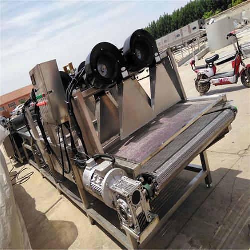 生產(chǎn)商常年銷售水果 蔬菜瀝水風(fēng)干機(jī)設(shè)備