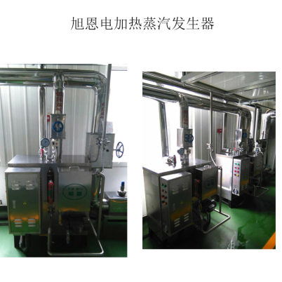 寧夏燃?xì)庹羝l(fā)生器廠家600kg